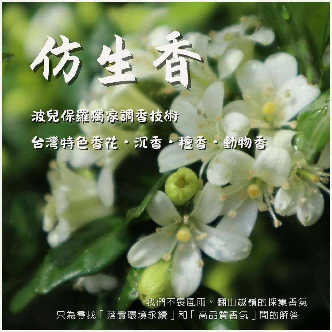 波兒保羅仿生香精