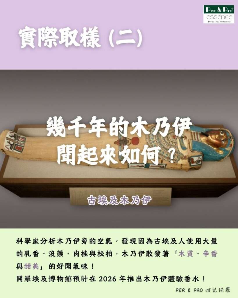 嗅覺行銷的力量，空間香氛、香氛設計，木乃伊的味道