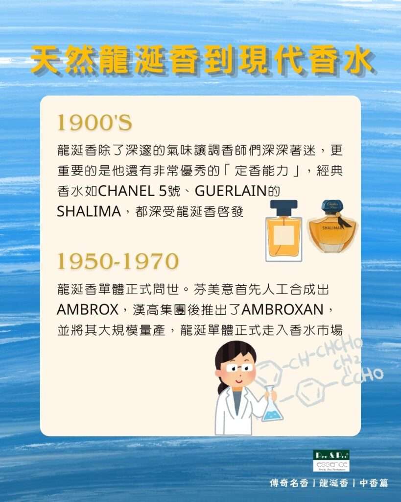 龍涎香歷史