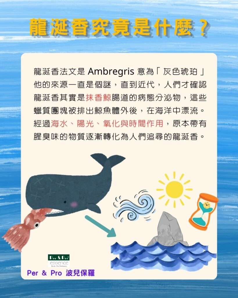 龍涎香是什麼