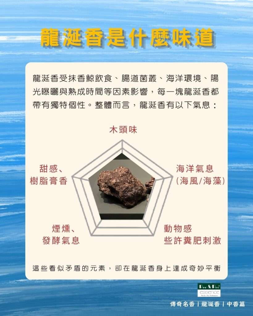龍涎香味道分析